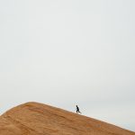 person running on top on hill during daytime