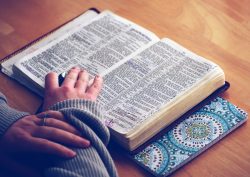 person reading a book with hands on top of book